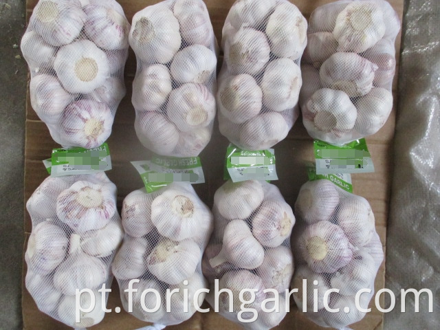 2019 Fresh Garlic Size 5 0